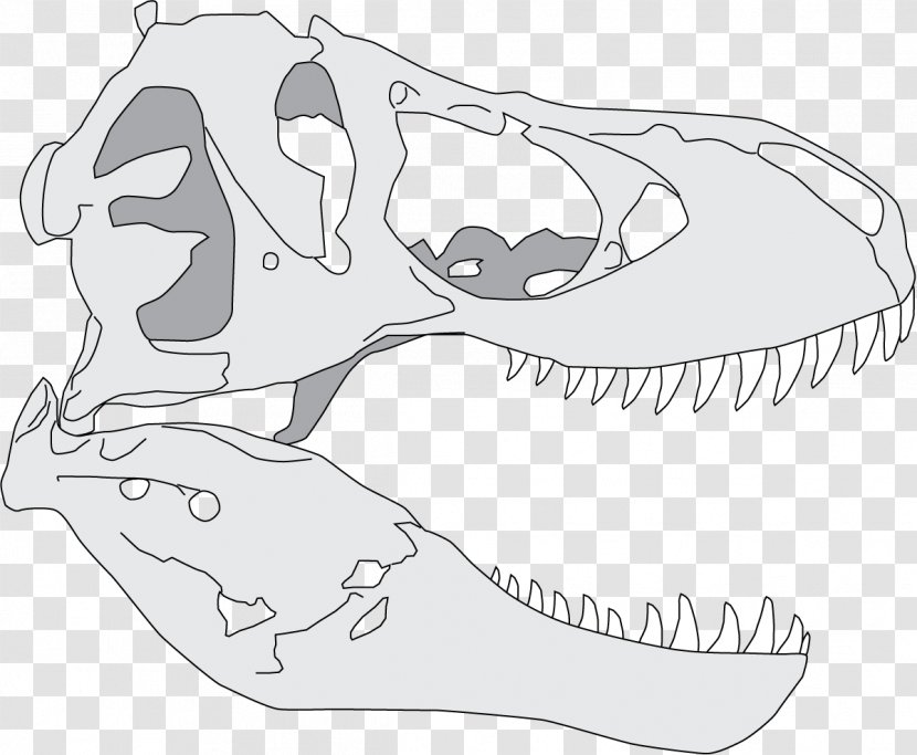 Tyrannosaurus Giganotosaurus Dinosaur Reptile Drawing - Tree Transparent PNG