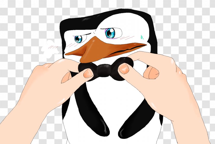 Penguin Glasses Clip Art - Flightless Bird Transparent PNG