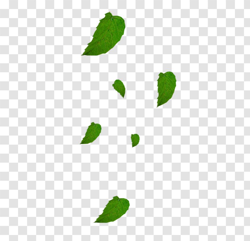 Area Leaf Pattern - Green Leaves Transparent PNG