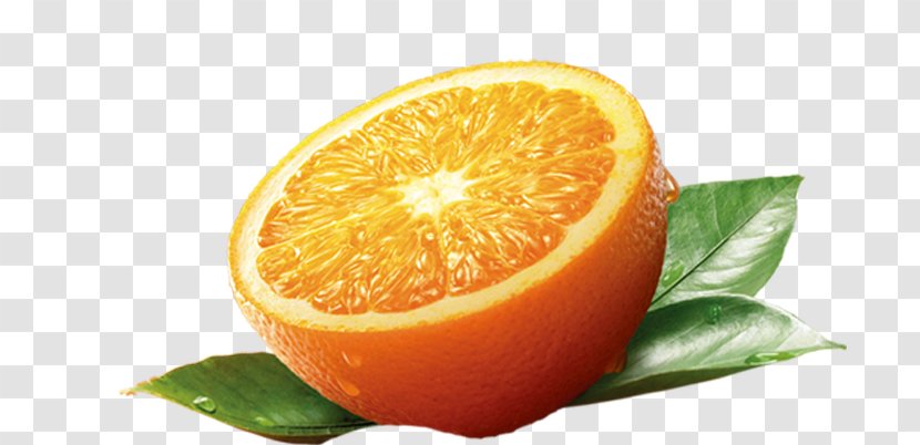 Orange Juice Blood - Tangelo - Golden Transparent PNG