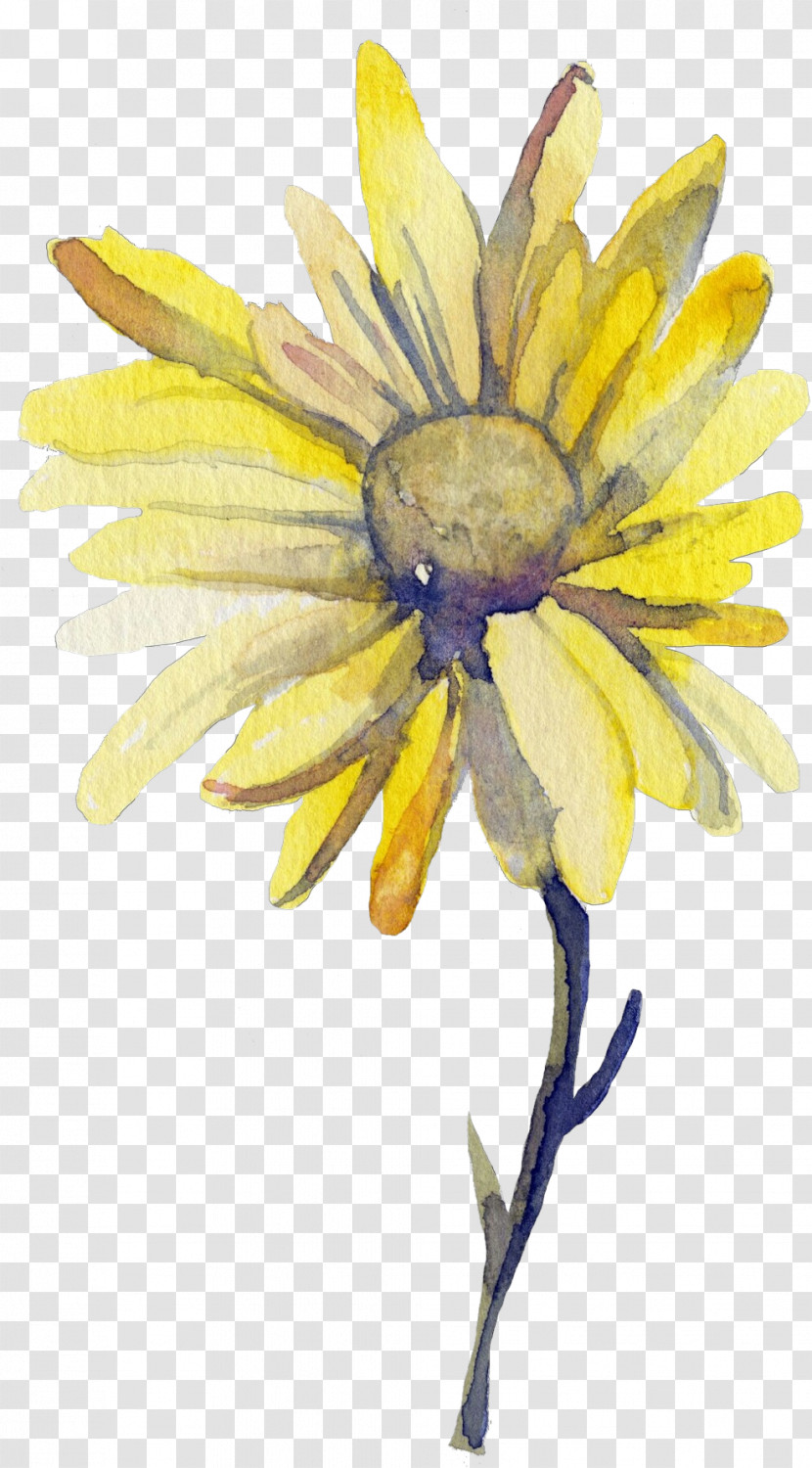 Sunflower Transparent PNG