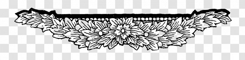Floral Design Pattern - Carnivoran Transparent PNG