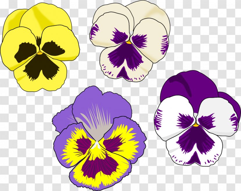 Pansy Drawing Flower Clip Art - Crunch Cliparts Transparent PNG