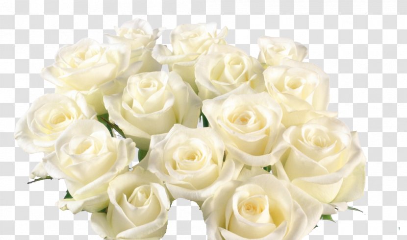 Flower Bouquet Garden Roses - Floristry - Rose Transparent PNG