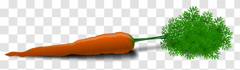 Carrot Clip Art - Food - Background Cliparts Transparent PNG