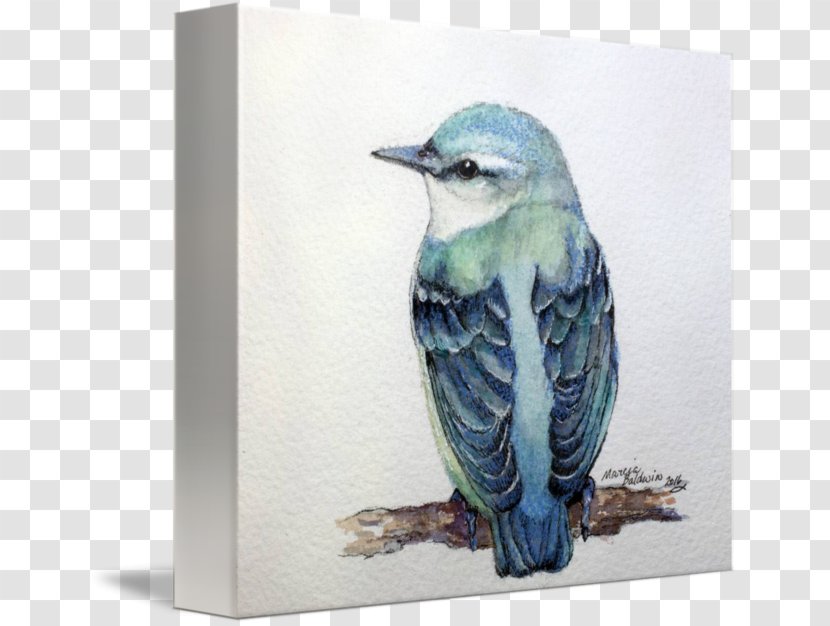 Canvas Print Painting Printing Art - Blue Jay Transparent PNG