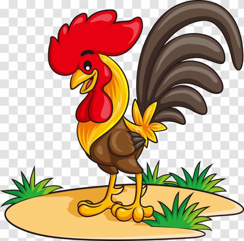 Chicken Rooster Cartoon Illustration - Galliformes - Vector Transparent PNG