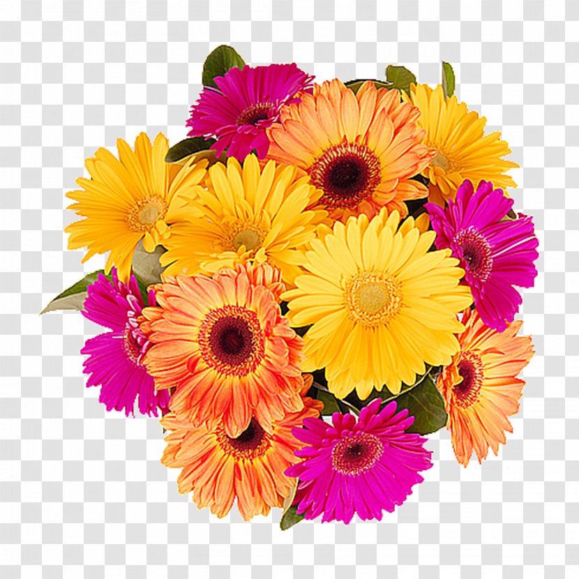 Flower Bouquet Cut Flowers Floristry - Gerbera Transparent PNG