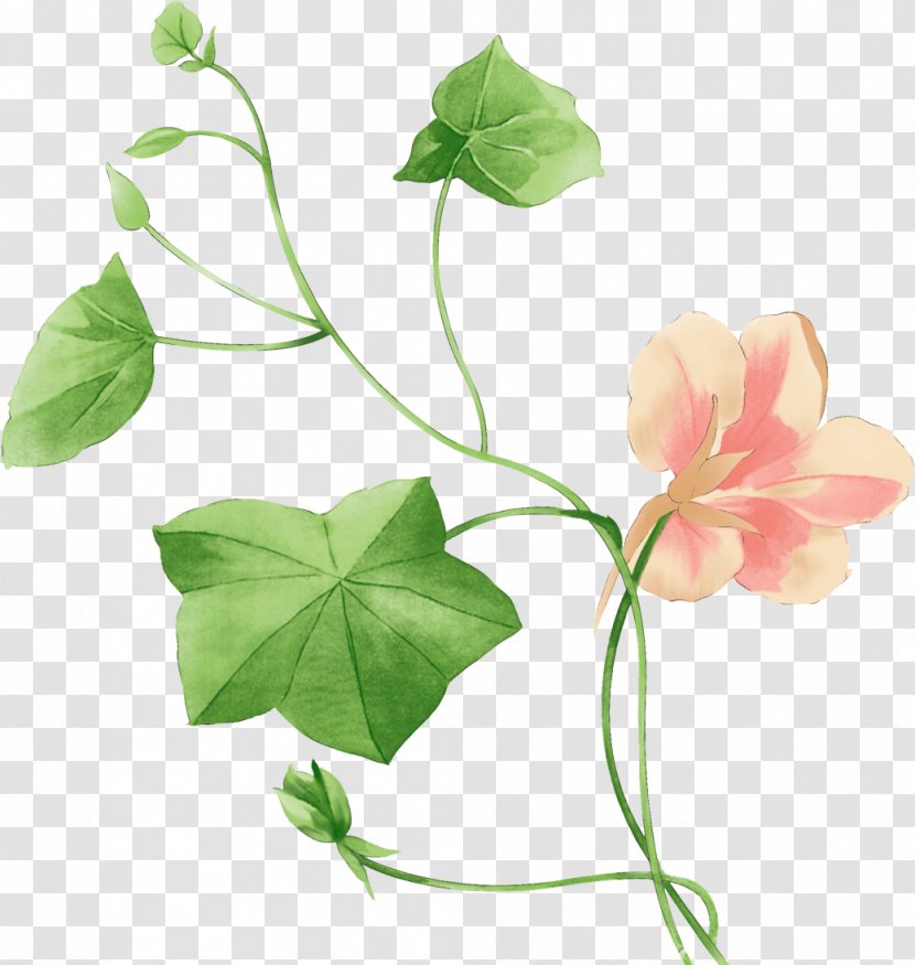 Flower Watercolor Painting If(we) - Green - Special Drawing Flowers Transparent PNG