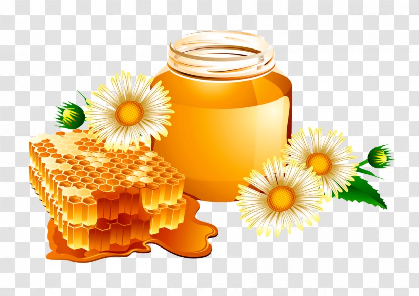 Honey Bee Honeycomb Transparent PNG