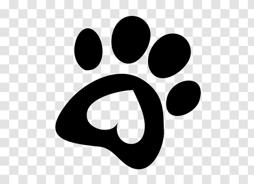 Maltese Dog Cat Puppy Image Pet - Animal Track Transparent PNG