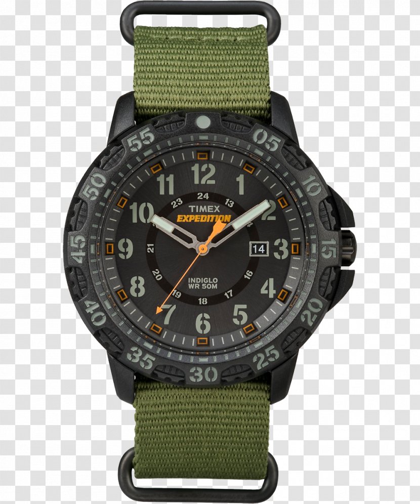 Timex Ironman Group USA, Inc. Watch Indiglo Strap - Accessory - Watches Transparent PNG
