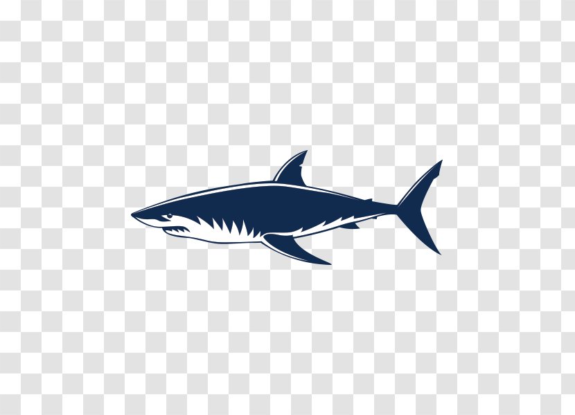 Requiem Sharks Great White Shark Jaws - Vector Free Download Transparent PNG