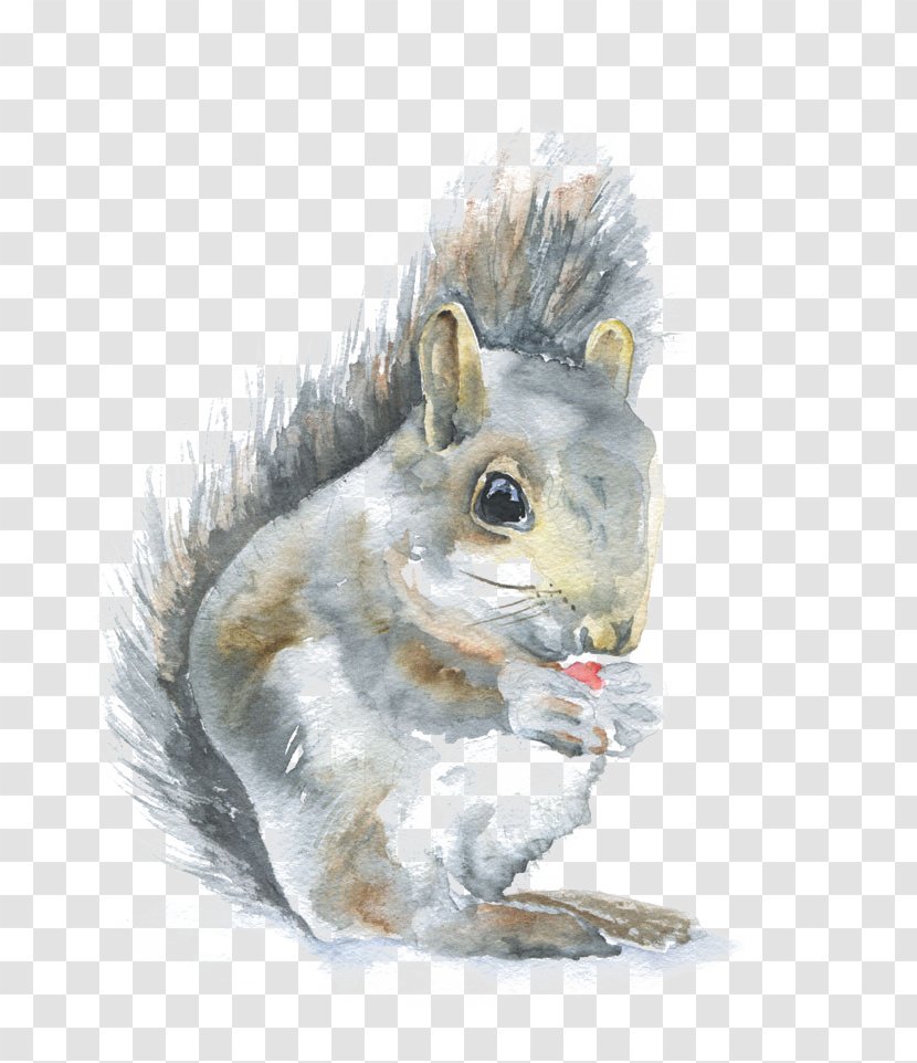 Squirrel Watercolor: Animals Watercolor Painting Wren - Rodent Transparent PNG