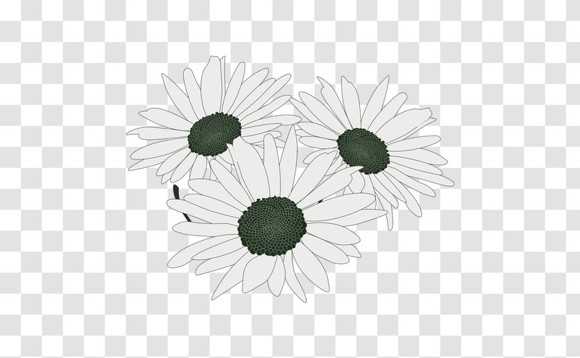 Common Daisy Flower Bouquet Floral Design Cut Flowers Transparent PNG