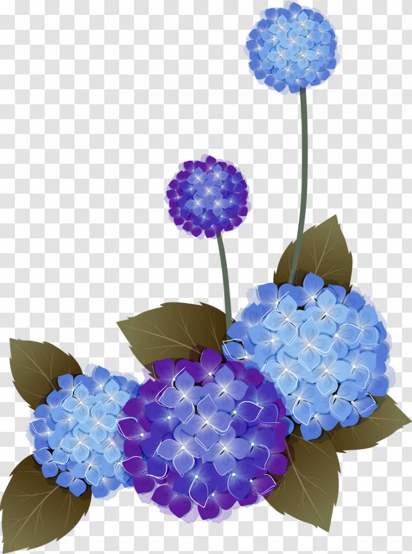 Flower Wreath - Hydrangeaceae - Hydrangea Transparent PNG