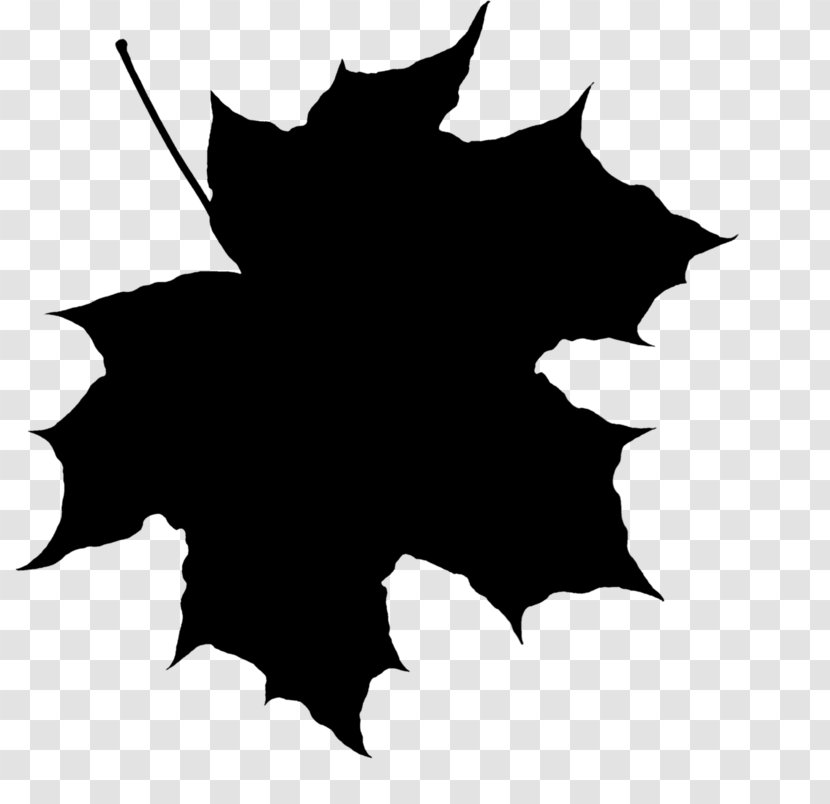 Maple Leaf Drawing Information - Yandex Search - Tree Transparent PNG