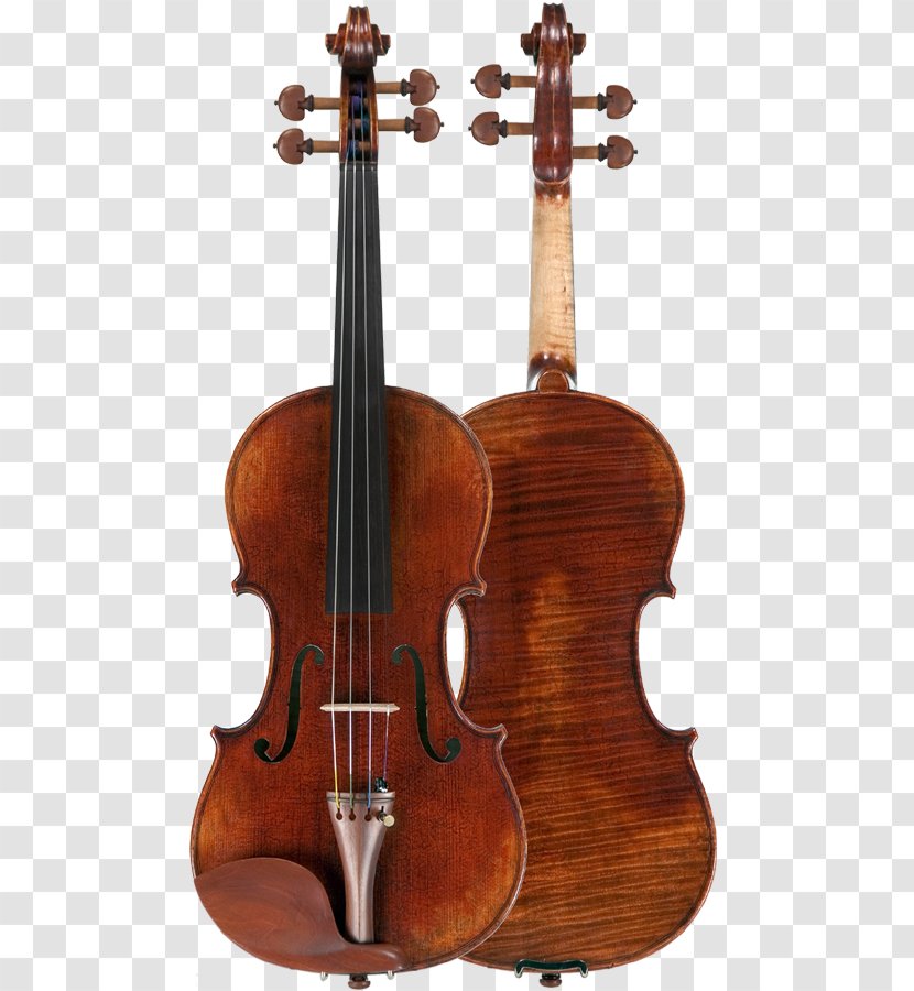 Cello Violin String Instruments Viola Double Bass - Flower Transparent PNG