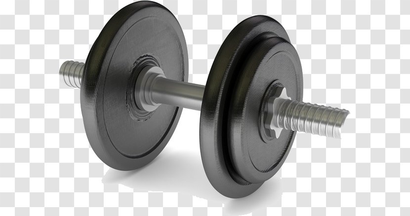 Weight Training Dumbbell Olympic Weightlifting Physical Fitness Exercise Transparent PNG