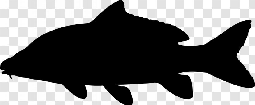 Silhouette Clip Art Vector Graphics Illustration - Blackandwhite - Bass Fish Transparent PNG