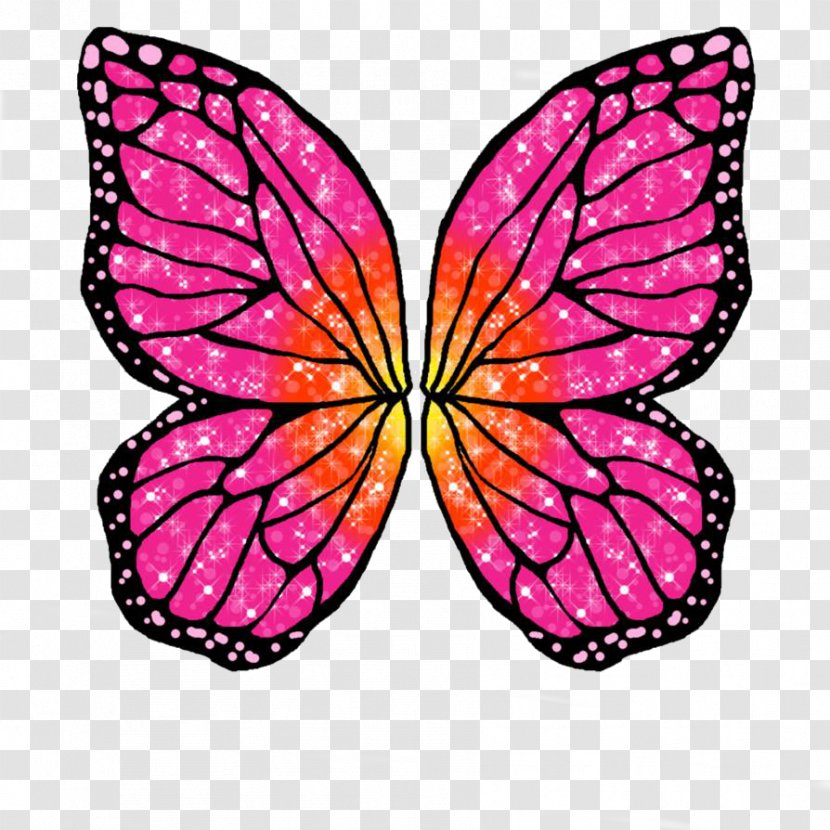 Butterfly Rayla Barbie Mariposa Drawing - Moths And Butterflies Transparent PNG