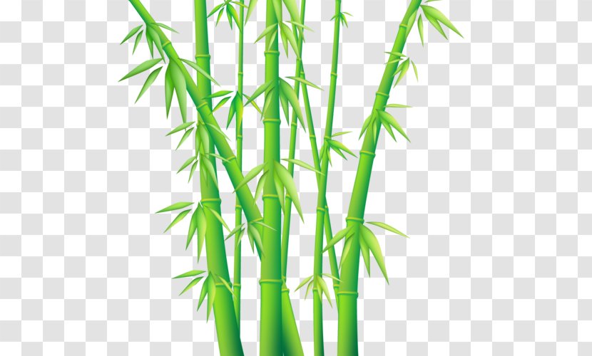 Bamboo Vector Graphics Clip Art Euclidean - Leaf Transparent PNG