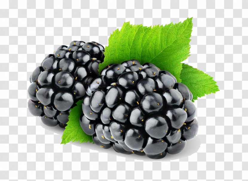 BlackBerry Fruit - Red Mulberry - Blackberry Transparent PNG