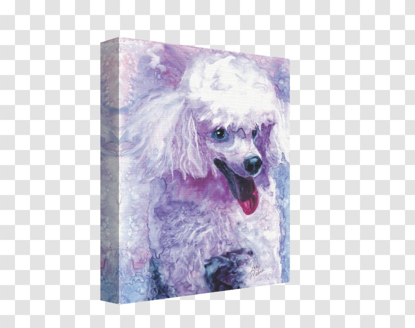 Miniature Poodle Dog Breed Snout Purple - Canvas - Ginger Watercolor Transparent PNG