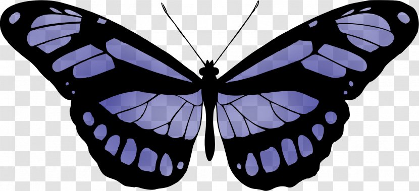 Butterfly Color Clip Art - Blue Transparent PNG