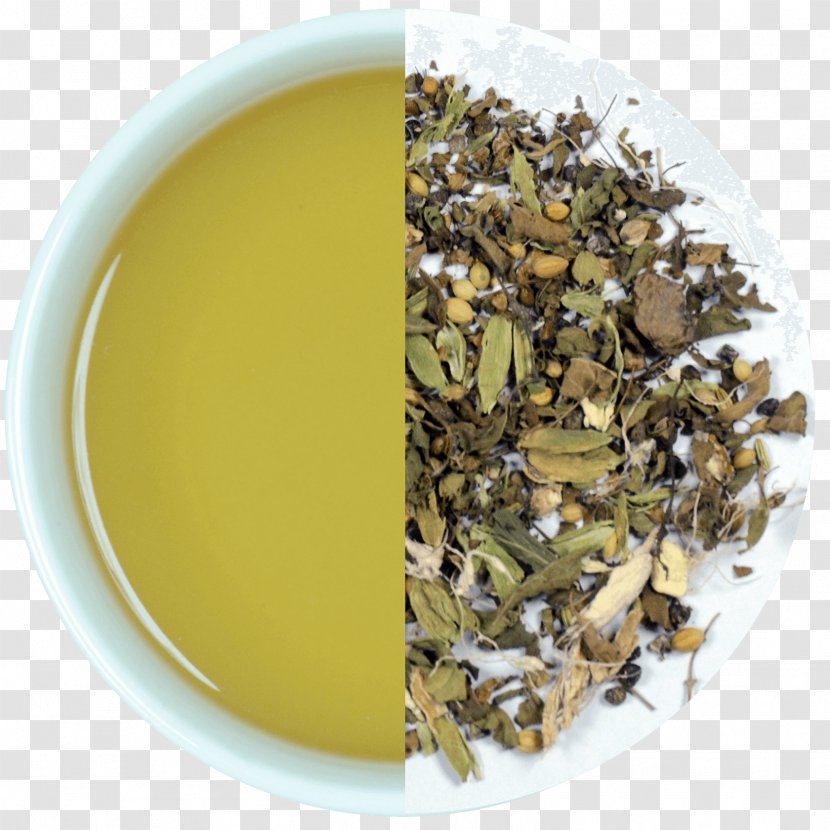 Nilgiri Tea Gyokuro Assam Sencha - Plant - Lemon Verbena Herbal Transparent PNG