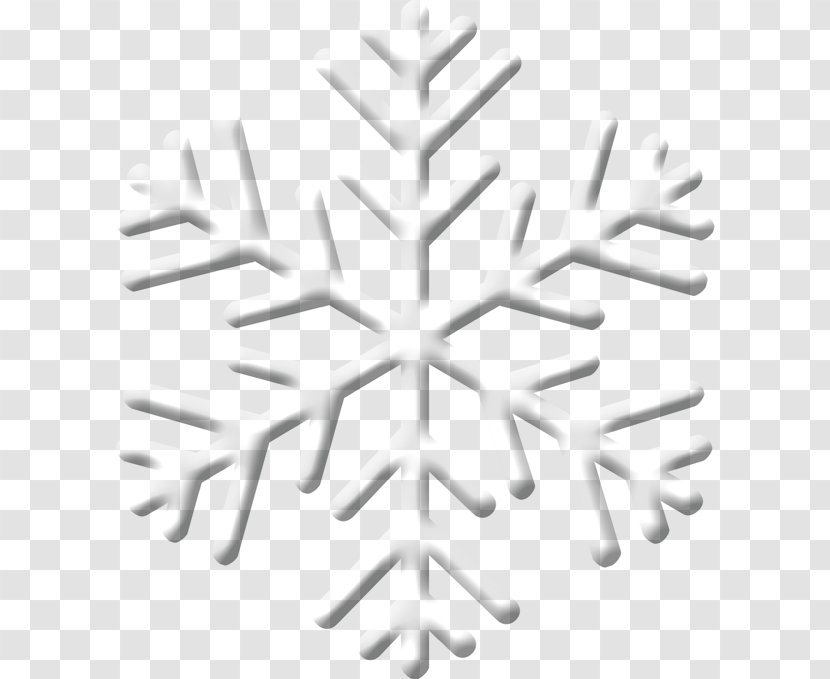 Snowflake Graphic Design Symmetry Pattern - Floral Transparent PNG