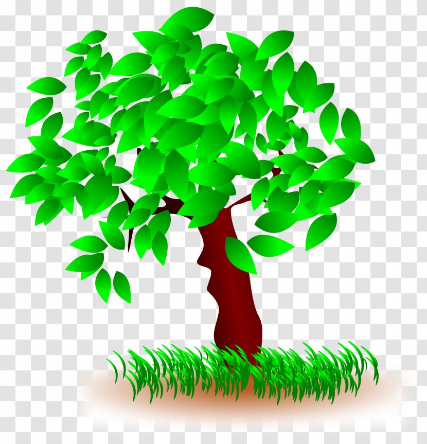 Christmas Tree Clip Art - Woody Plant - Trees Transparent PNG