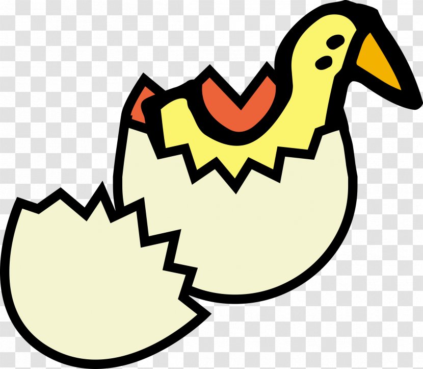Chicken Eggshell Fried Egg Clip Art - White - Chick Transparent PNG