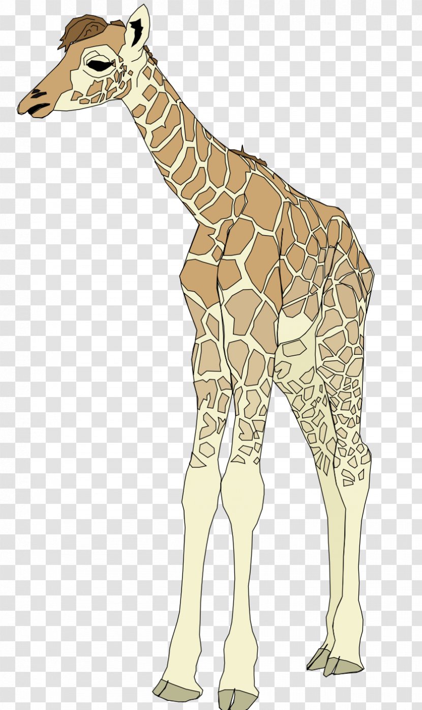 Clip Art - Tail - Watercolor Giraffe Transparent PNG