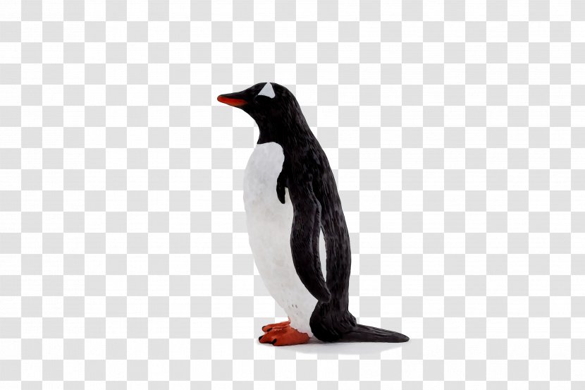 King Penguin Beak Animal Transparent PNG