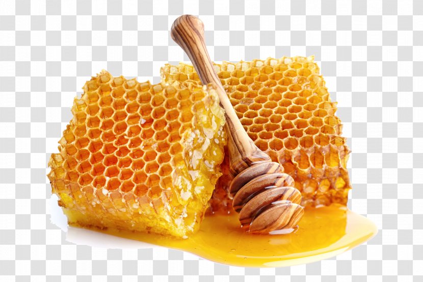 Honey Bee Honeycomb Sugar - Syrup Transparent PNG