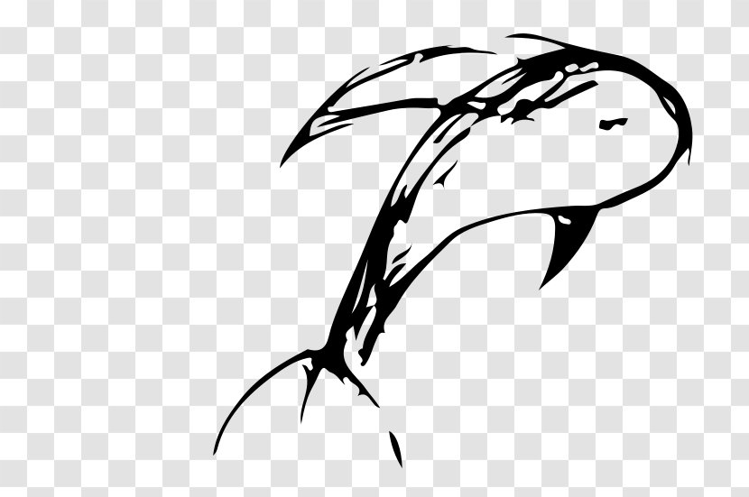 Dolphin Clip Art - Monochrome Photography - Freehand Lines Transparent PNG