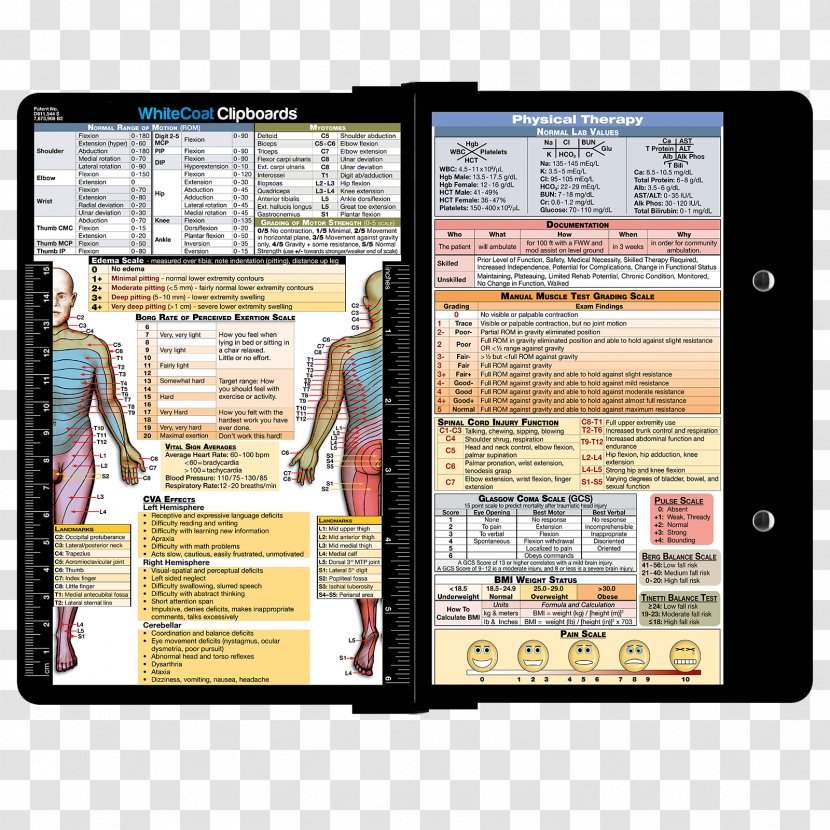 Physical Therapy Clipboard Medicine Occupational - Multimedia - Specialty Transparent PNG