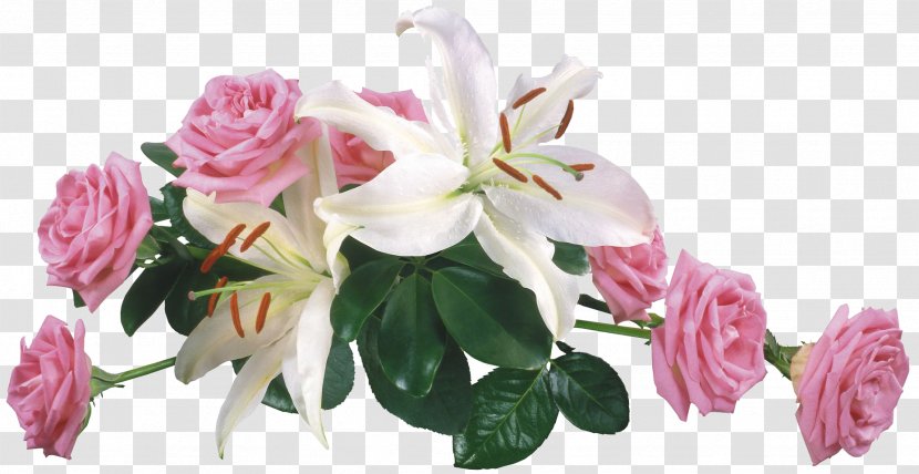 Still Life: Pink Roses Flower Gratis Image - Garden Transparent PNG