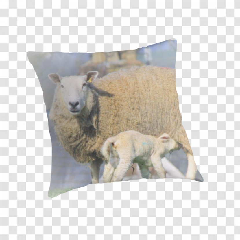Sheep Throw Pillows Cushion Goat Transparent PNG
