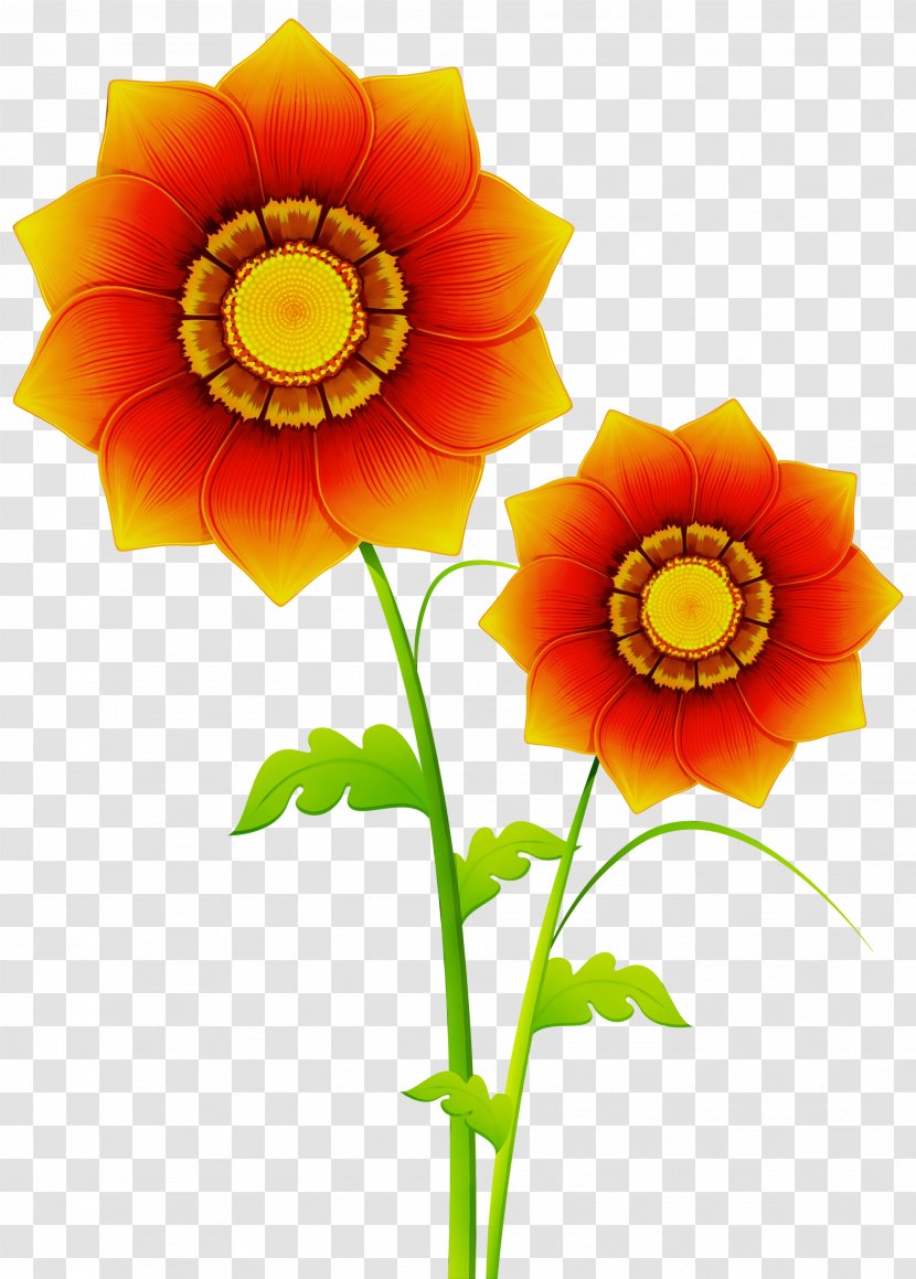 Floral Design - Yellow - Wildflower Plant Stem Transparent PNG