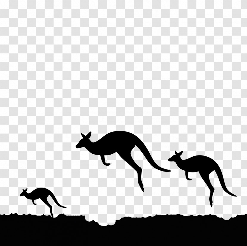 Kangaroo Macropods Mustang Dog Black & White / M Transparent PNG