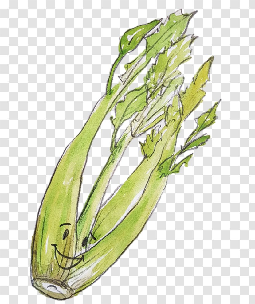 Allium Fistulosum Leaf Vegetable Scallion - Fennel - Celery Transparent PNG