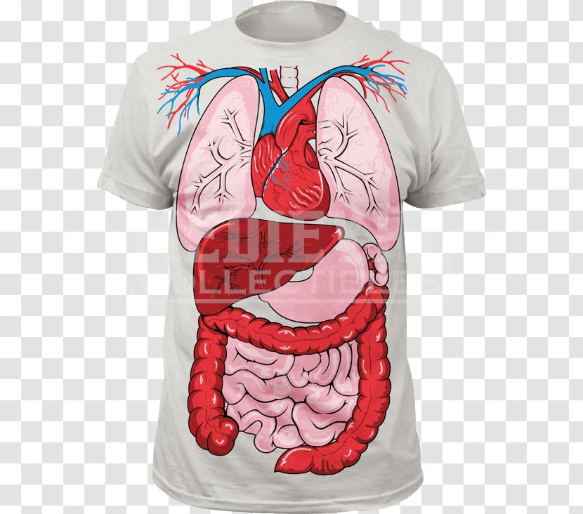 T-shirt Human Anatomy Body - Cartoon Transparent PNG