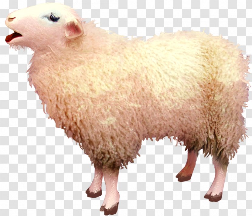 Sheep Goat Clip Art - Ovis - Free Download Transparent PNG