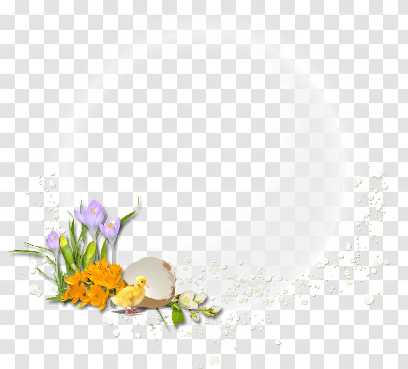 Easter Egg Desktop Wallpaper Flower - Public Environmental Album Transparent PNG