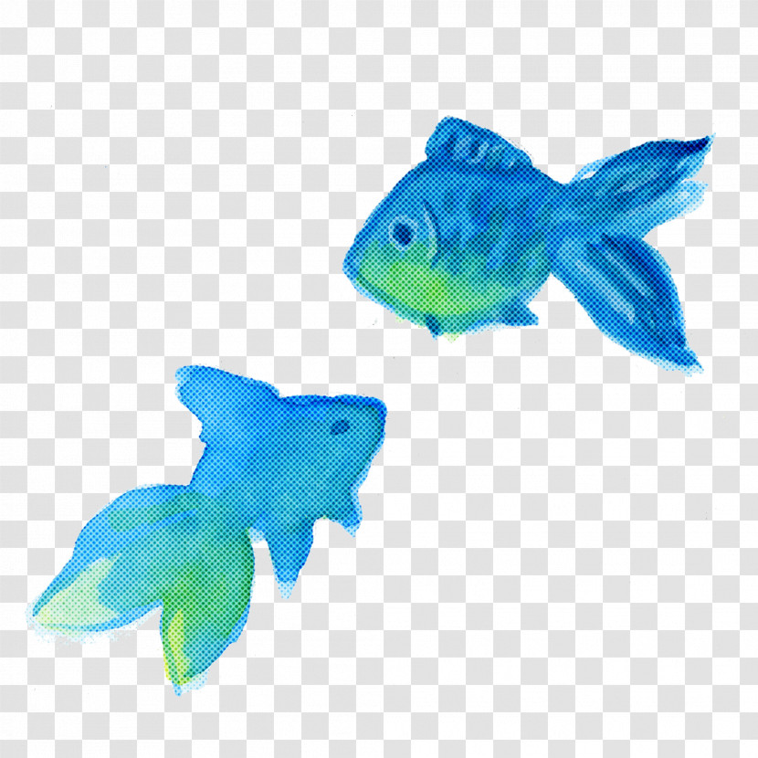 Fish Fish Turquoise Animal Figure Fin Transparent PNG
