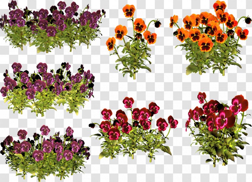 Pansy Floral Design Violet Annual Plant Clip Art - Flower Arranging Transparent PNG