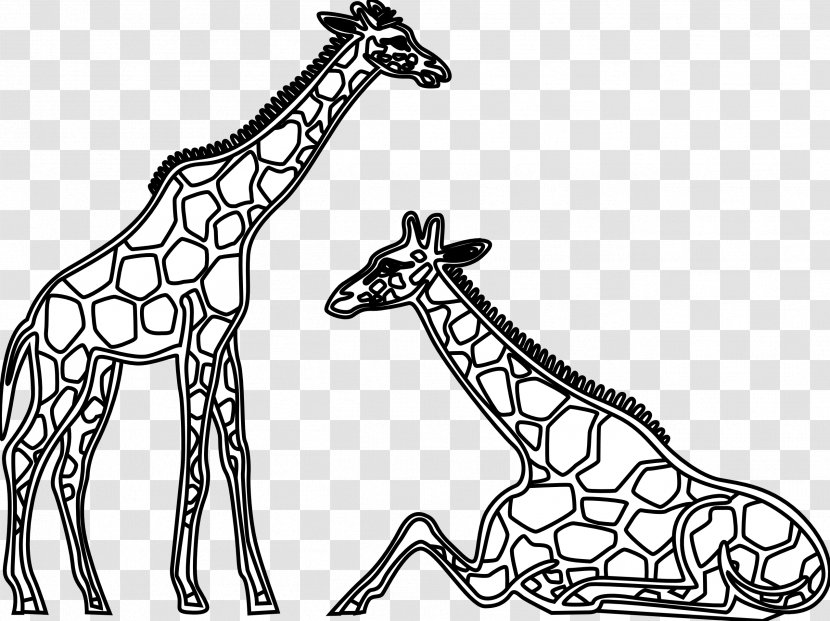 Giraffe Lion Black And White Clip Art - Zipline Cliparts Transparent PNG