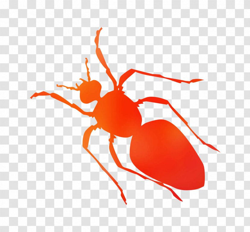 Black Garden Ant Insect Clip Art - Invertebrate Transparent PNG